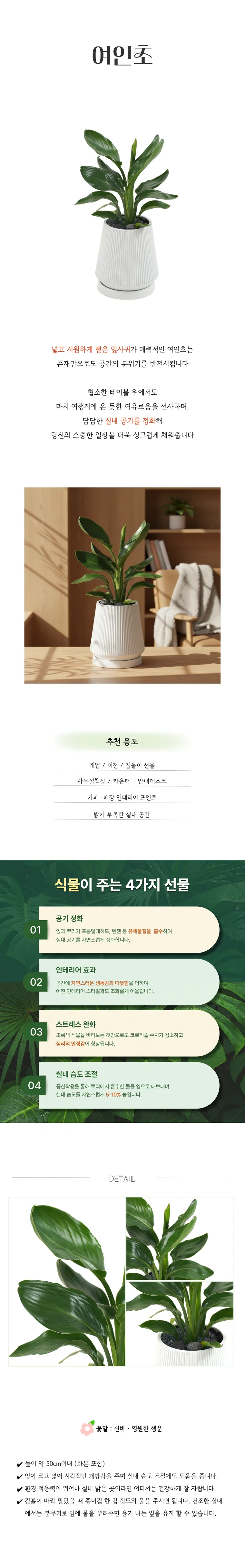 PS_008-여인초-26_03_15-001.png