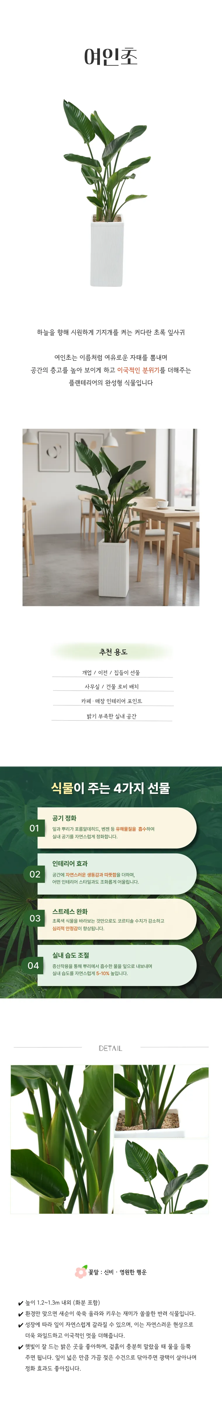 _PL_017-여인초-26_02_20-001.png