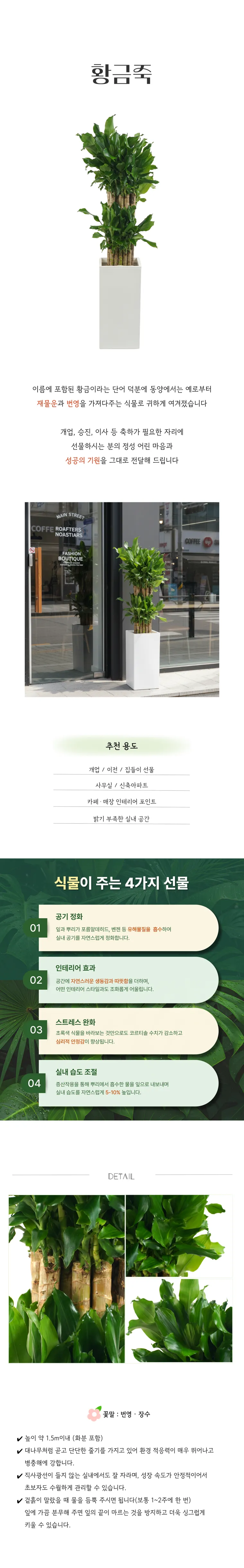 PL_026-황금죽-26_03_01-001.png