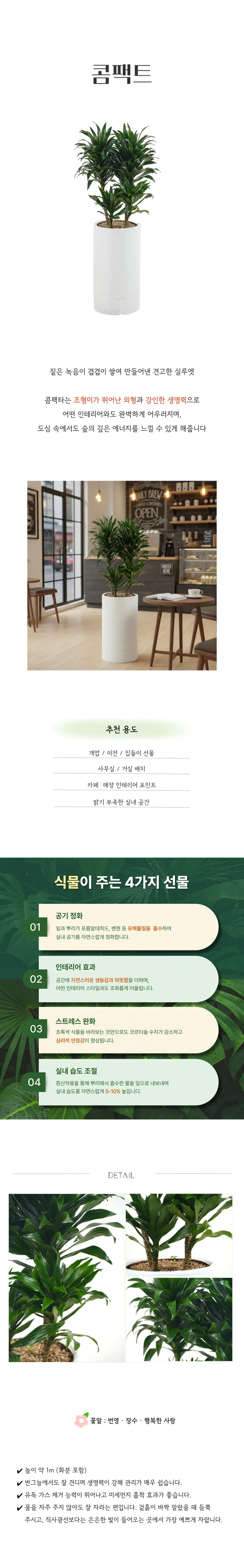 PL_020-콤팩트-26_02_20-001.png