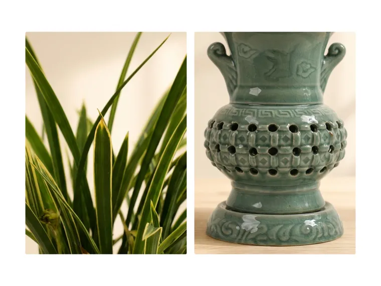 Hwangnyonggeum Cymbidium (Carved Pot)