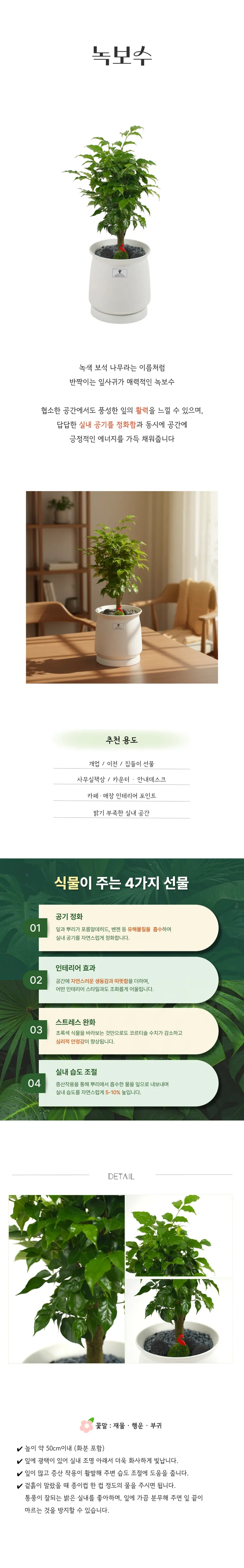 PS_003-녹보수-26_03_01-001.png