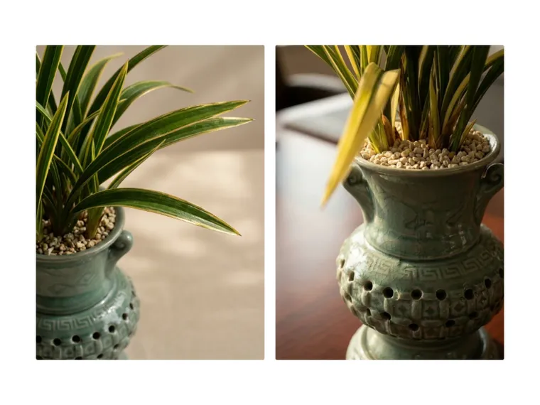 Ilhyanggeum Cymbidium (Carved Pot)