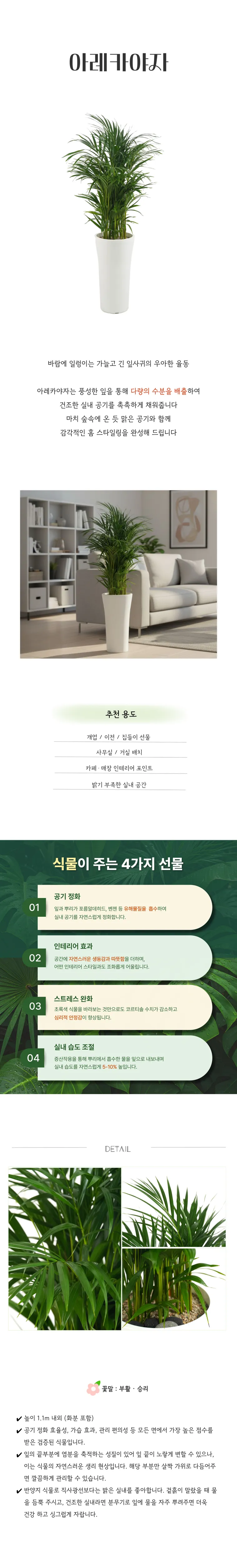 PL_015-아레카야자-26_02_20-001.png