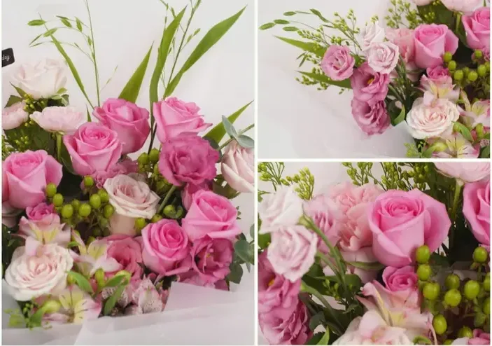 Pink Glory