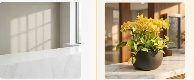 Phalaenopsis Orchid 109