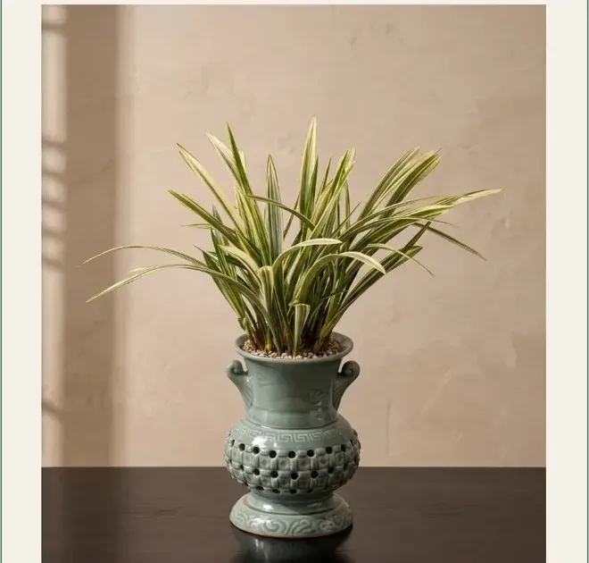 Songhakdo Cymbidium (Carved Pot)