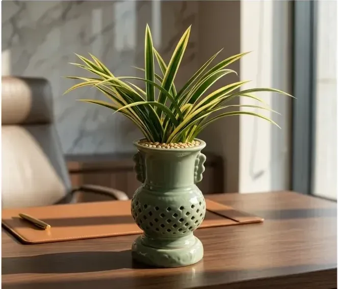 Taeyanggeum Cymbidium (Carved Pot)