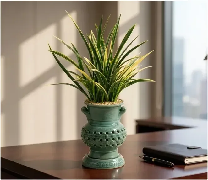 Geumgi Cymbidium (Carved Pot)