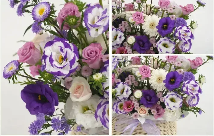 Purple Elegance