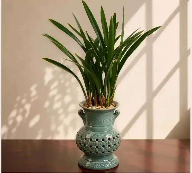Sancheonjo Cymbidium (Carved Pot)