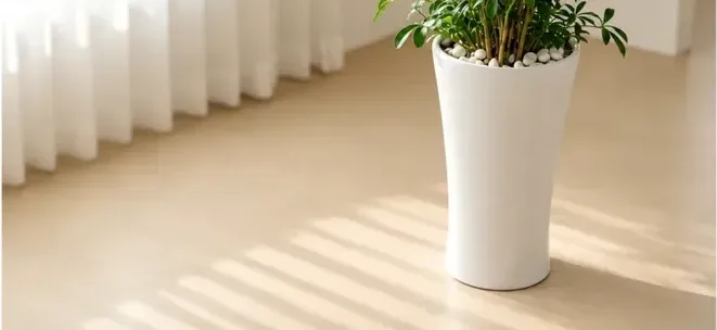 Dwarf Umbrella Tree (Schefflera)
