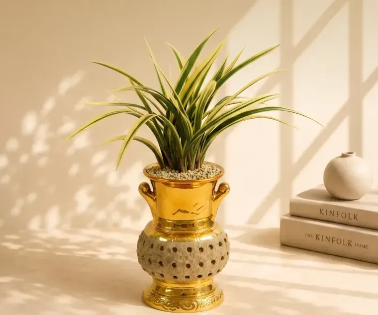 Hwanggeum Ilhyang Cymbidium (Gold Carved Pot)