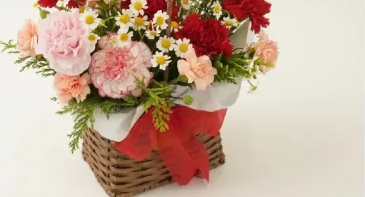 Carnation C