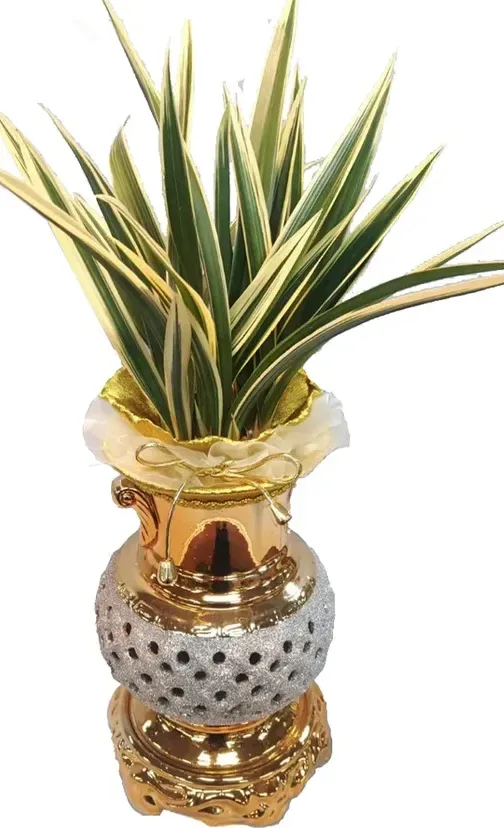 Hwanggeum Ilhyang Cymbidium (Gold Carved Pot)