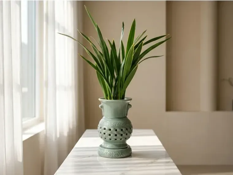 Daehun Cymbidium (Carved Pot)