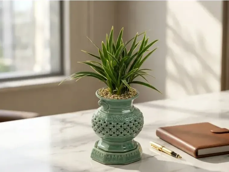 Daeguk Cymbidium (Mini Carved Pot)