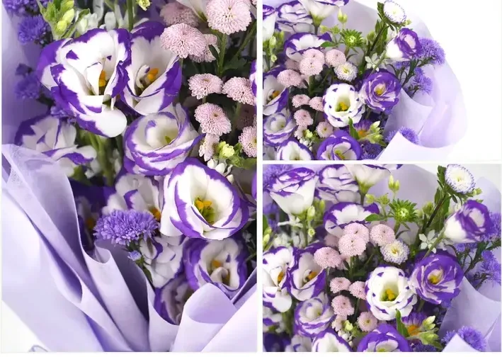 Violet Fragrance