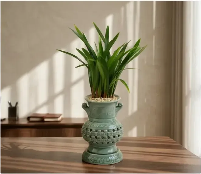 Sancheon Bose Cymbidium (Carved Pot)
