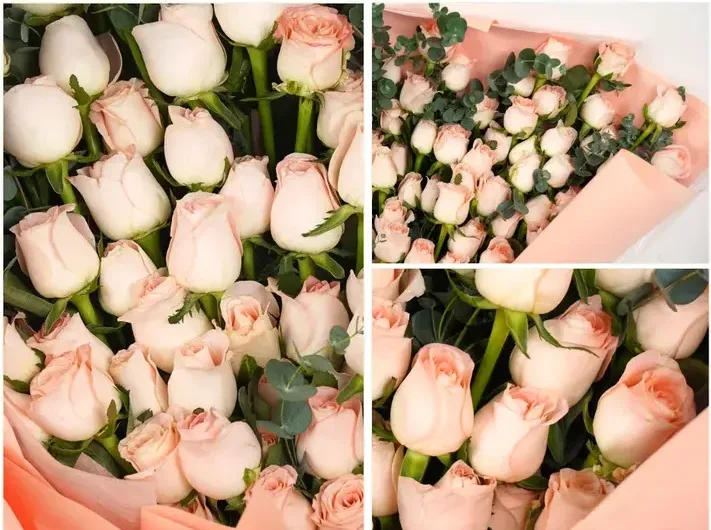 Giant Pink Rose