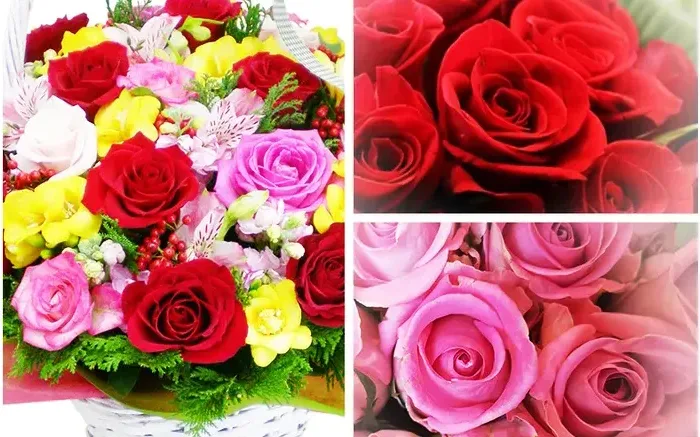 Little Love (Special Price)
