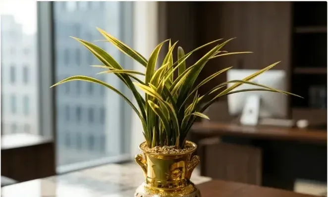 Ilhyanggeum Cymbidium (Gold Carved Pot)
