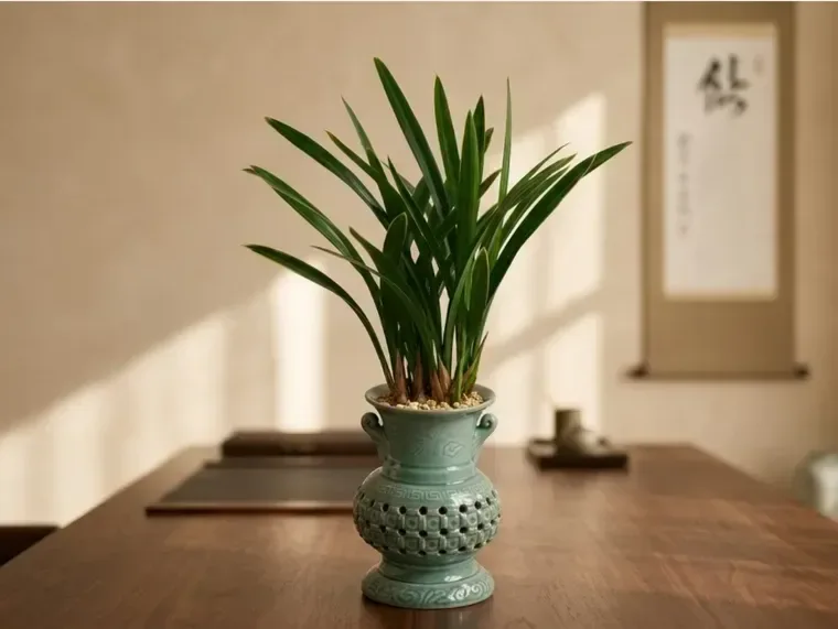Sancheonjo Cymbidium (Carved Pot)
