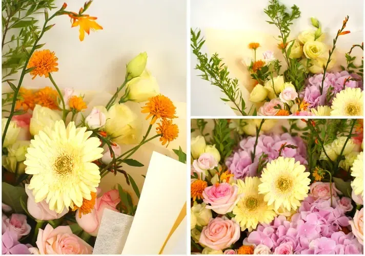 Pastel Bloom