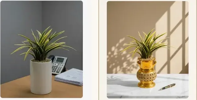 Hwanggeum Ilhyang Cymbidium (Gold Carved Pot)