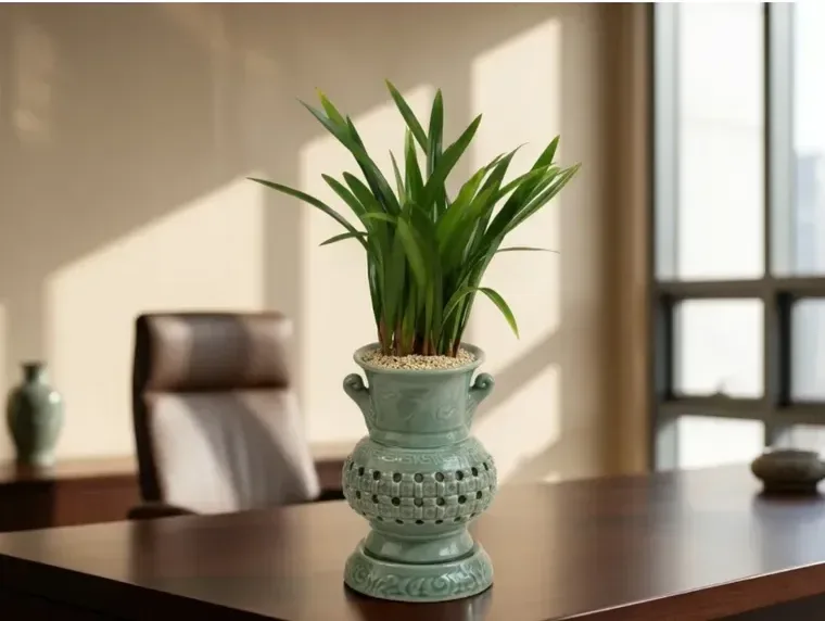 Sancheon Bose Cymbidium (Carved Pot)