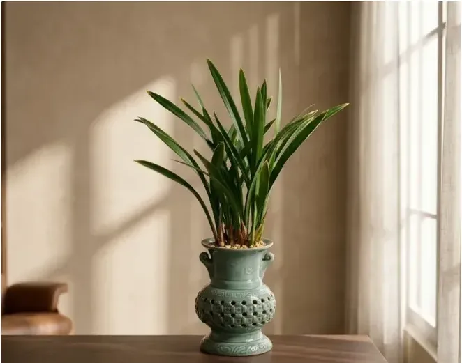 Sancheonjo Cymbidium (Carved Pot)