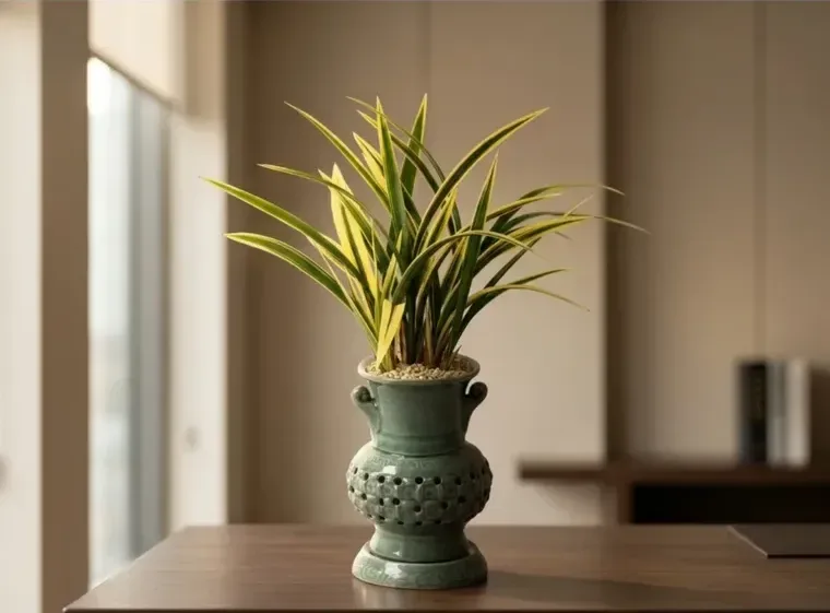 Ilhyanggeum Cymbidium (Carved Pot)