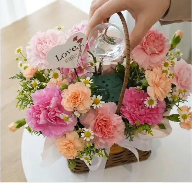Carnation B