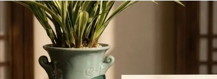 Songhakdo Cymbidium (Carved Pot)