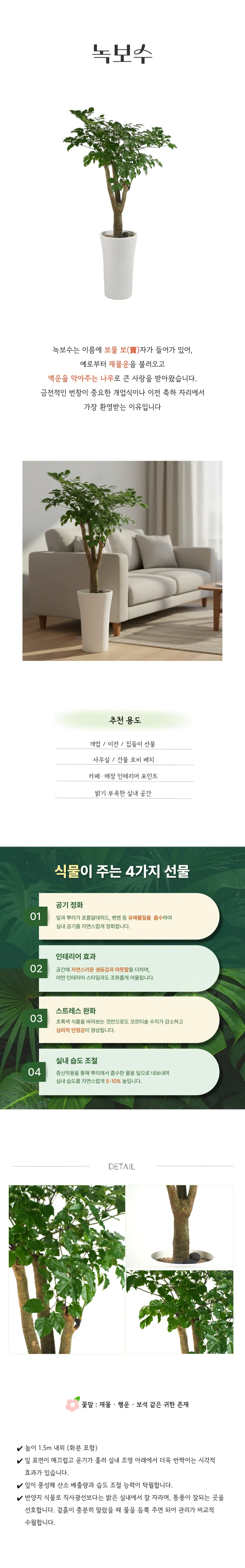 PL_012-녹보수-26_02_17-001.png