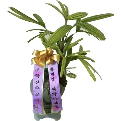 서황금