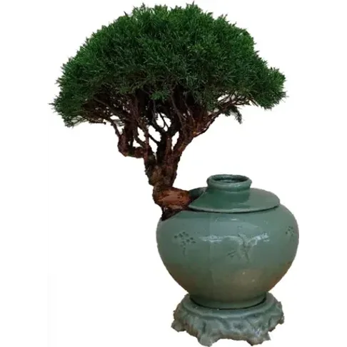 진백