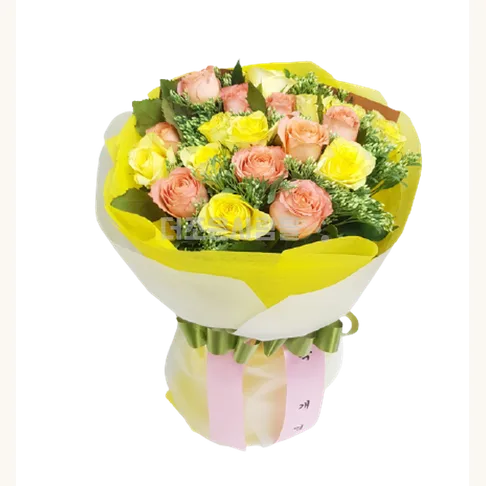 아침햇살