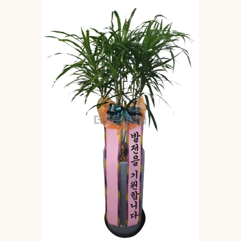 자바